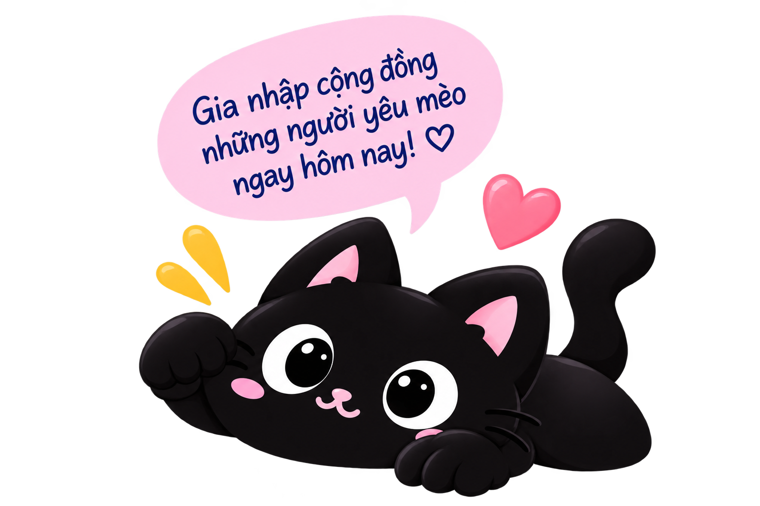 Gia nhập cộng đồng yêu mèo ngay hôm nay